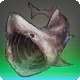 Funnel Shark