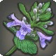 Gaelicatnip