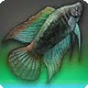 Galactic Flarefish