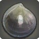 Garlean Clam