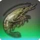Gensui Shrimp