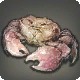 Geras Crab