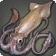 Giant Squid