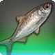 Glarramundi