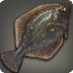 Glass Flounder