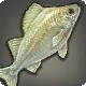 Glass Perch