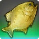 Golden Pipira