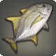 Goldfin Cavalli