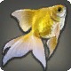 Goldfish