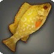 Goldgrouper