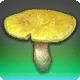 Grade 2 Skybuilders' Umbral Earthcap