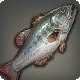 Grade 3 Skybuilders' Bass