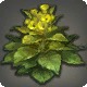 Grade 3 Skybuilders' Hemp