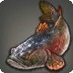 Grade 3 Skybuilders' Hermit Goby