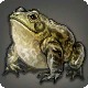 Grade 3 Skybuilders' Steppe Bullfrog