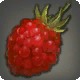 Grade 4 Artisanal Skybuilders' Raspberry