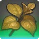 Grade 4 Skybuilders' Umbral Dirtleaf