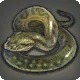 Grass Viper