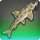 Great Gudgeon