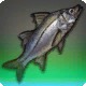 Greatsword Snook