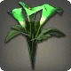 Green Arums