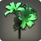 Green Brightlilies