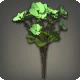 Green Byregotia