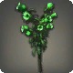 Green Campanulas