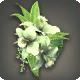 Green Cattleya Corsage