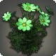 Green Cosmos
