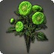 Green Dahlias
