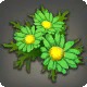 Green Daisy Corsage