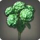 Green Hydrangeas