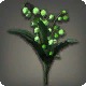 Green Lilies of the Valley