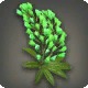 Green Lupin Corsage