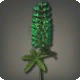 Green Lupins