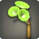 Green Morning Glory Corsage