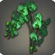 Green Moth Orchids