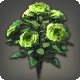 Green Oldroses