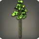 Green Paperflowers