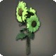 Green Sunflowers