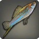 Green Swordtail