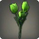 Green Tulips