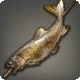 Grilled Trout