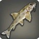 Gudgeon