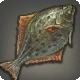 Halibut