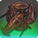 Hammerclaw
