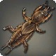 Hedgemole Cricket