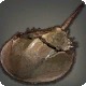 Helmet Crab