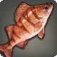 Highland Perch